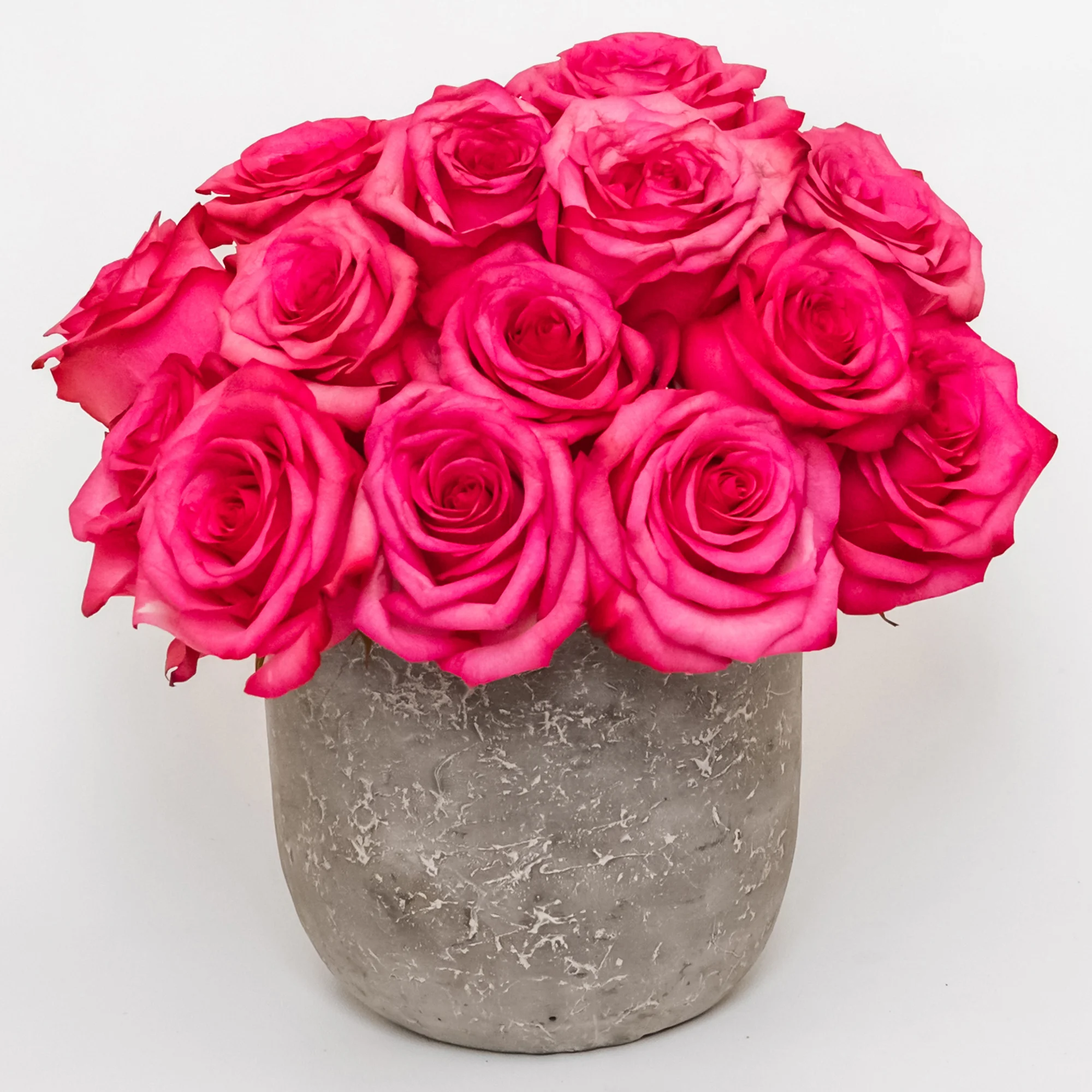 Vibrant pink roses in concrete vase