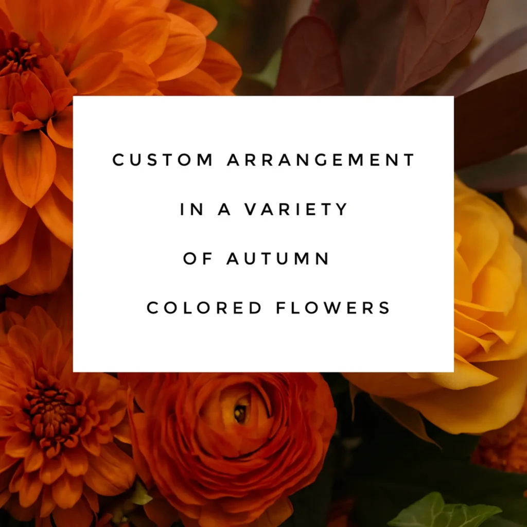 Designer's Choice - Autumn Radiance