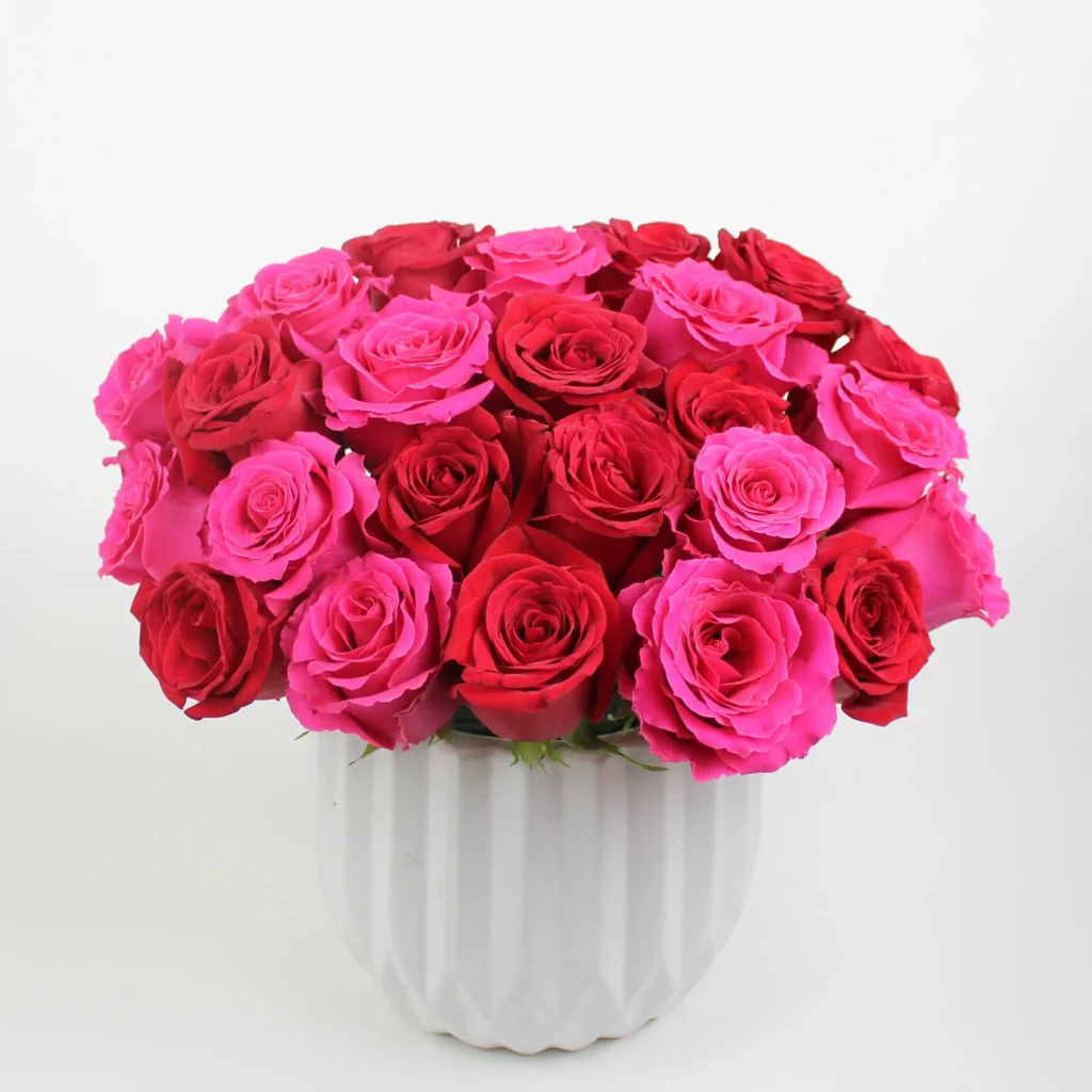 Two-Tone Rose Arrangement – Sao Paulo Elegance